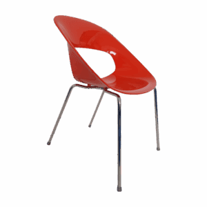 CAPRI-2.png